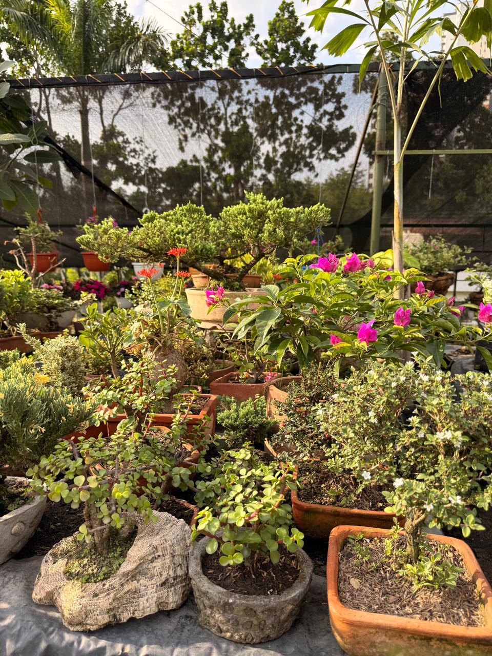 Abonos orgánicos de calidad