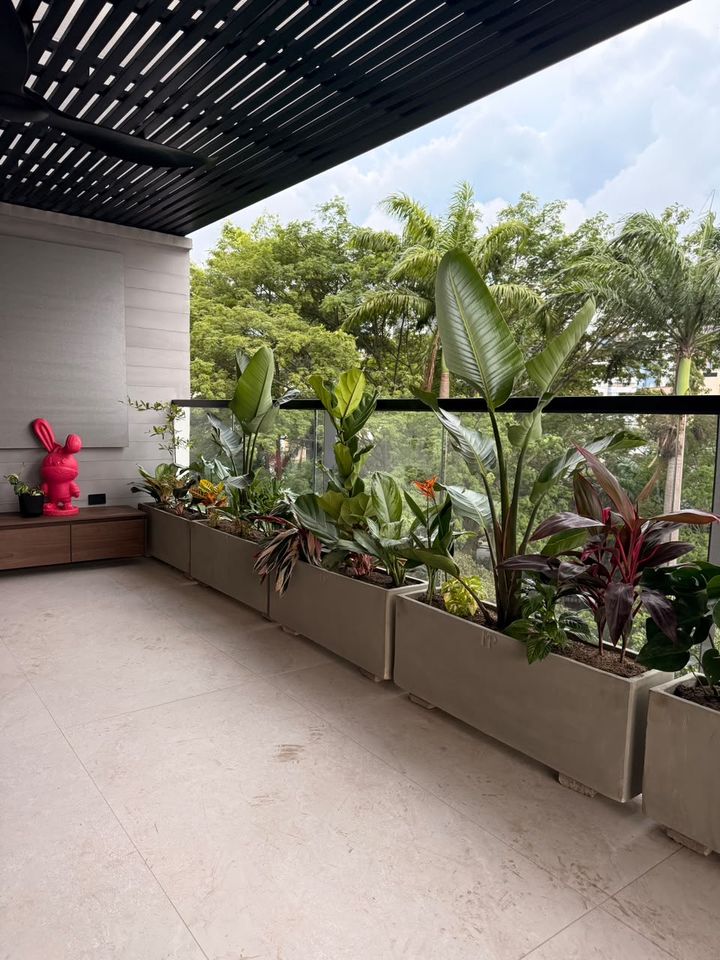 Balcón con jardineras de concreto llenas de aves del paraíso, cordilines y crotos