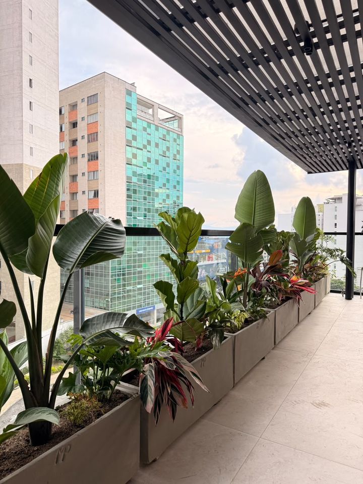 Jardineras de concreto en un balcón urbano con plantas tropicales de follaje rojo y verde