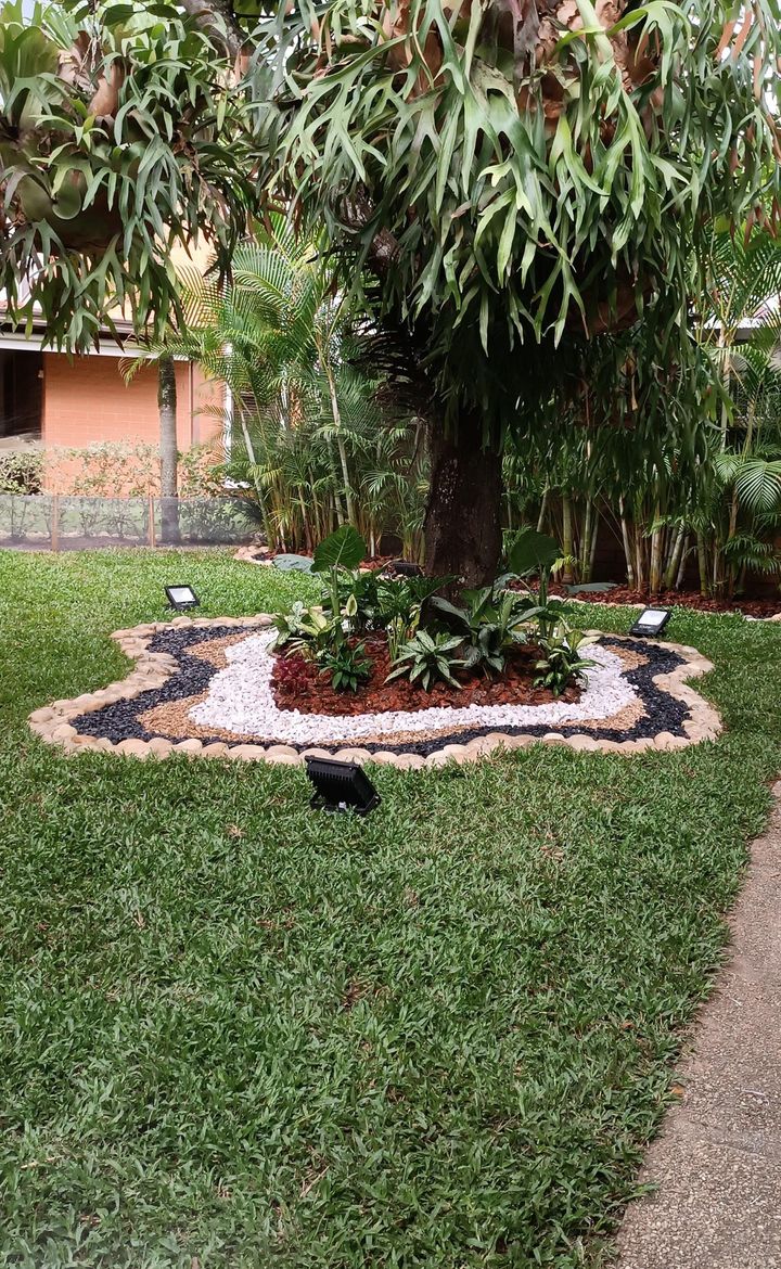 Isla de piedras blancas, negras y doradas con plantas de sombra bajo un árbol con cuernos de alce