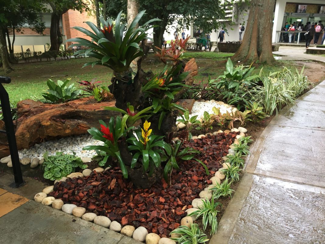 Jardín con bromelias, tronco decorativo, gravilla roja y borde de piedras de río