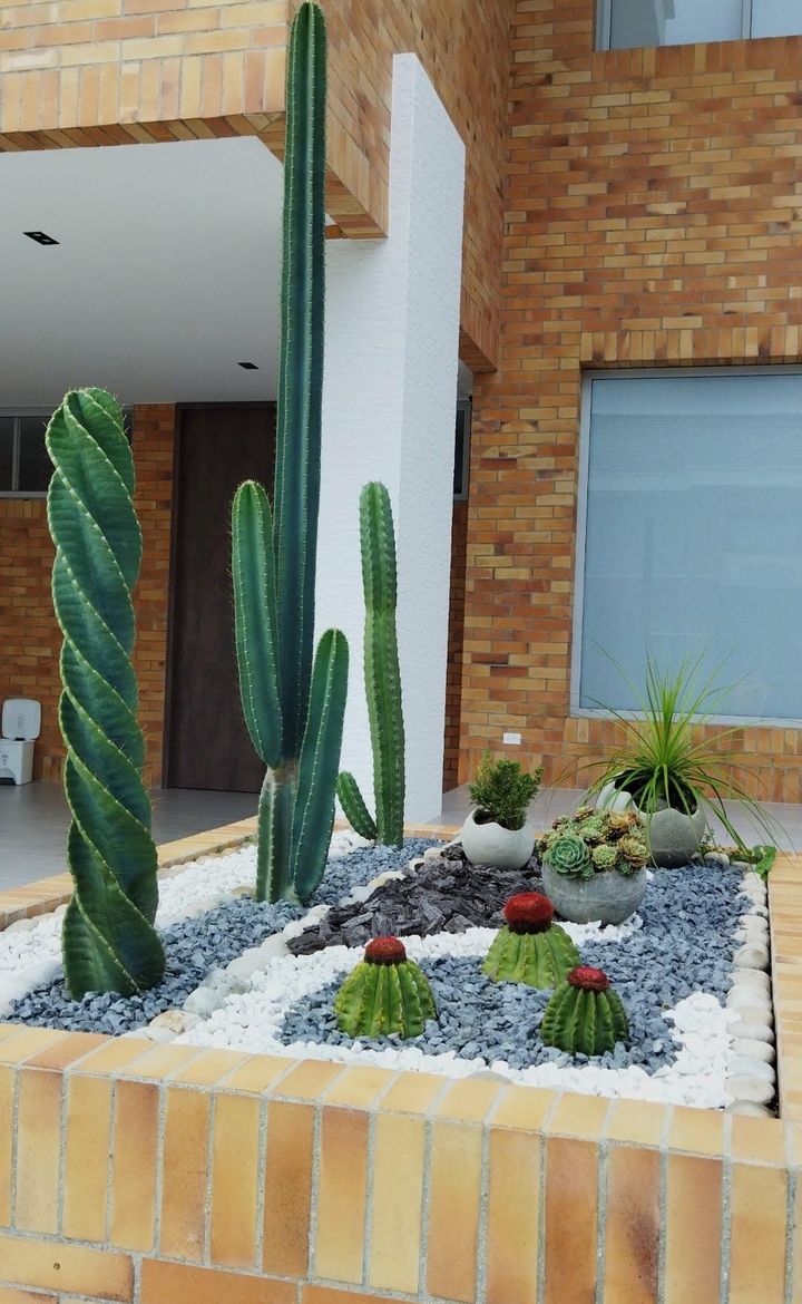 Jardinera de ladrillo con cactus columnares, cactus torcido, biznagas y suculentas sobre piedra blanca y gris