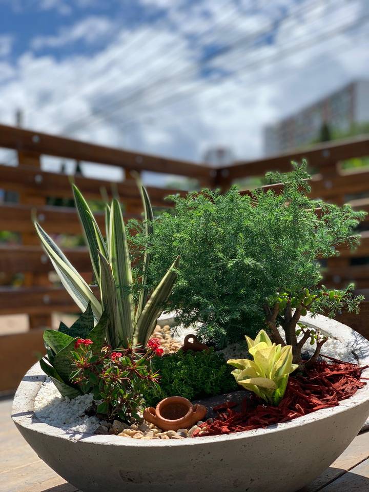 Jardín en matera de cemento con suculentas y piedras decorativas