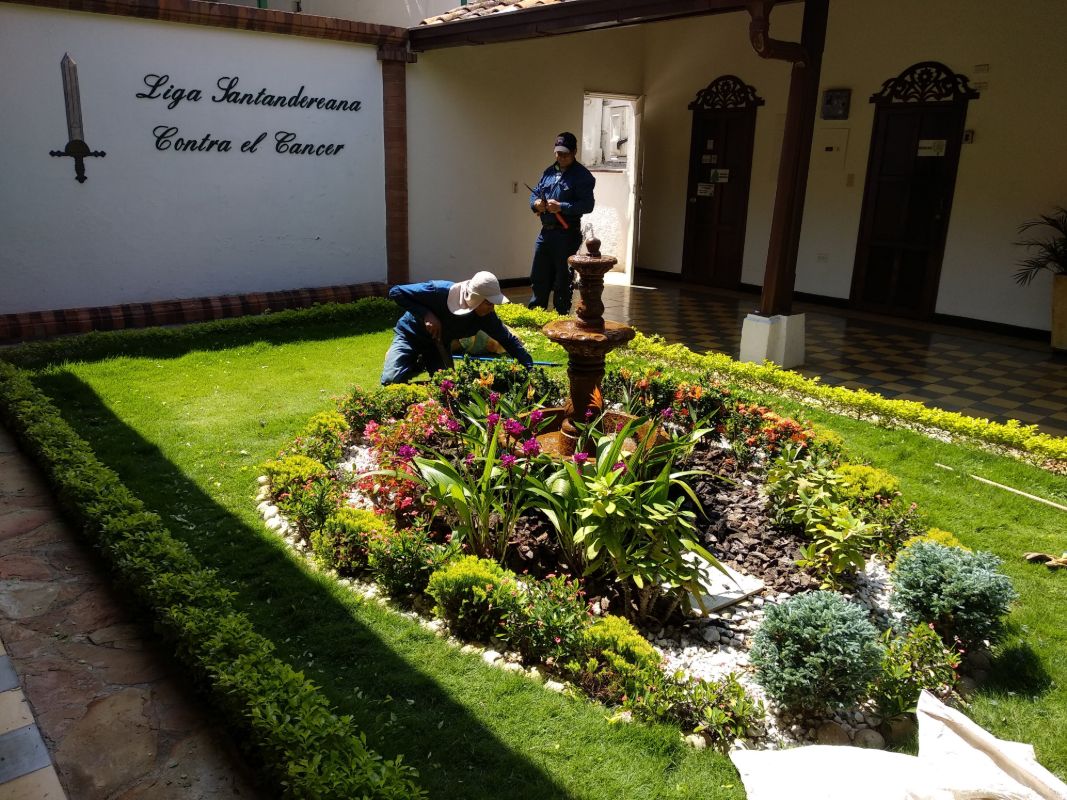 Jardín de patio con césped, setos y una fuente rodeada de plantas florecidas, durante el trabajo de nuestro equipo