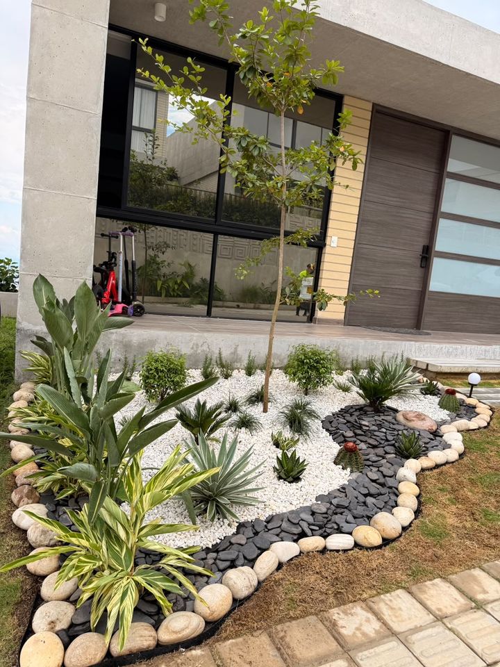 Antejardín con piedra blanca, laja negra, agaves, cactus y un árbol joven frente a una casa moderna