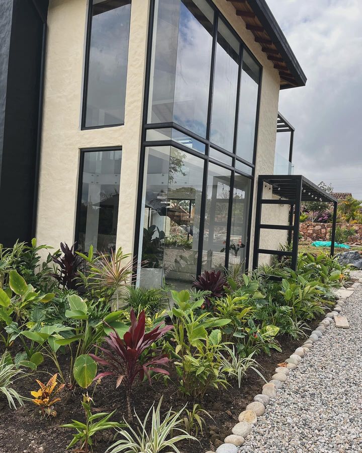 Jardín tropical con cordilines, crotos y cintas frente a una casa de grandes ventanales