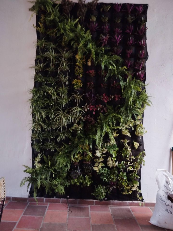 Jardín vertical con helechos, cintas, potus y moisés en bolsillos de tela