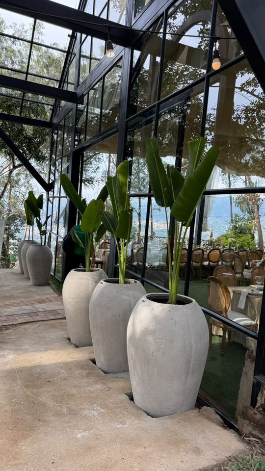 Grandes materas de concreto con aves del paraíso junto a un salón de vidrio