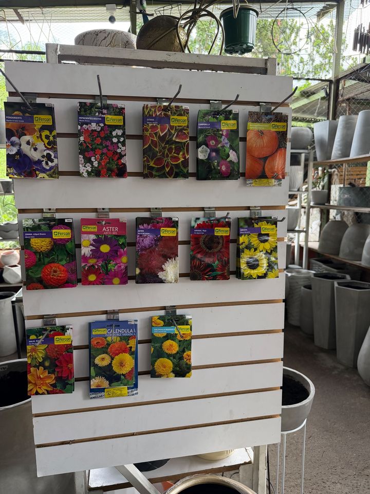 Exhibidor con sobres de semillas de flores como girasoles, zinnias, asters y caléndulas